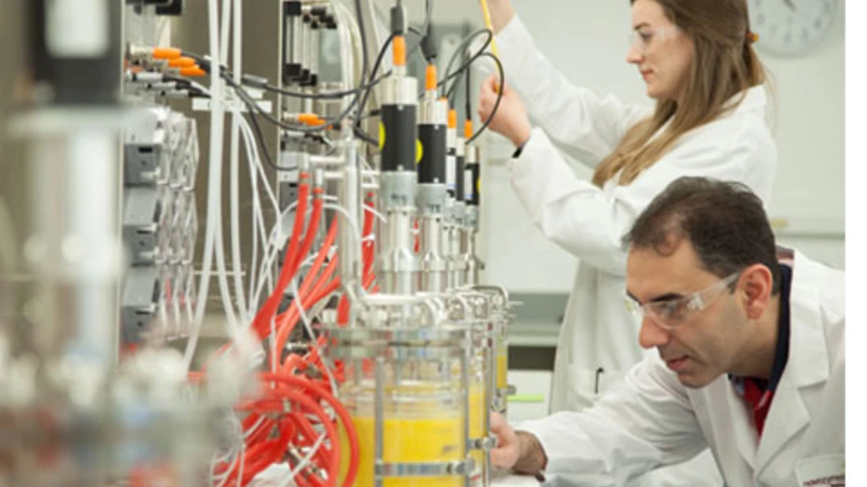 Two novozymes scientists doing yeast innovation