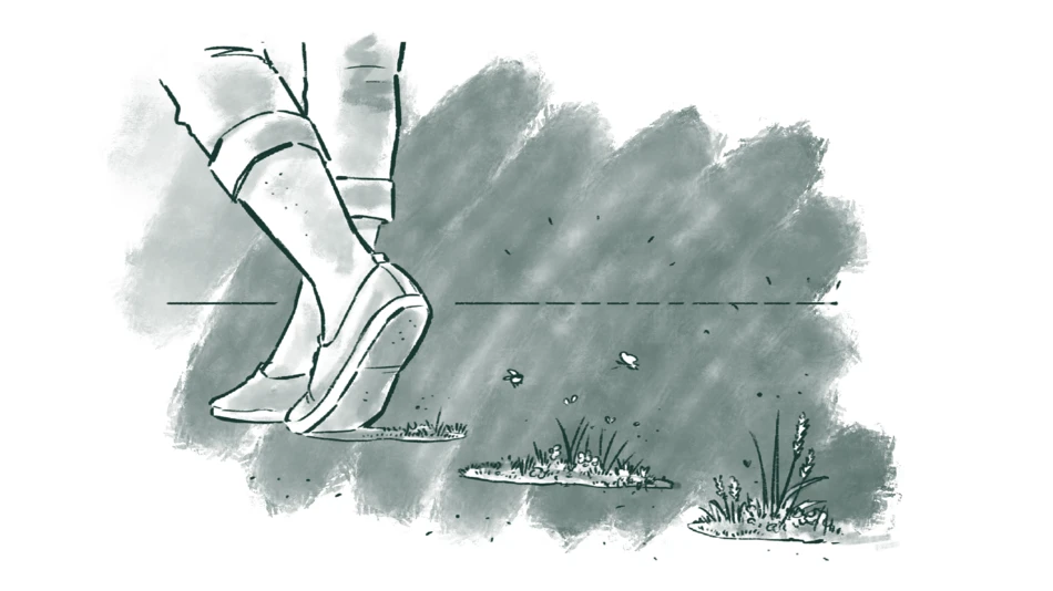 Leaving Greener Footprint