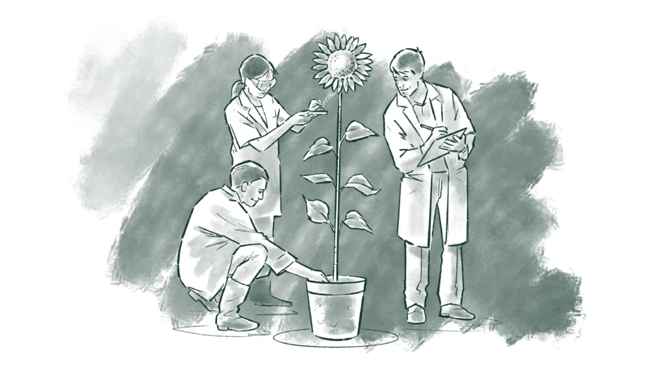 plants