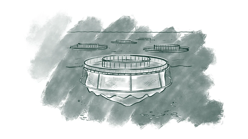 Biosolutions_enhance_aquaculture_productivity