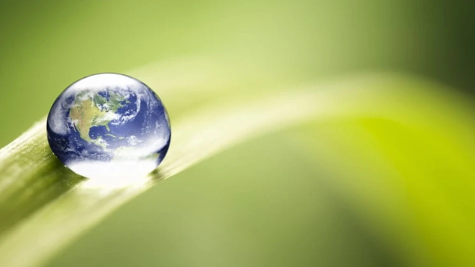 chr-hansen-ranked-as-the-most-sustainable-company-in-the-world