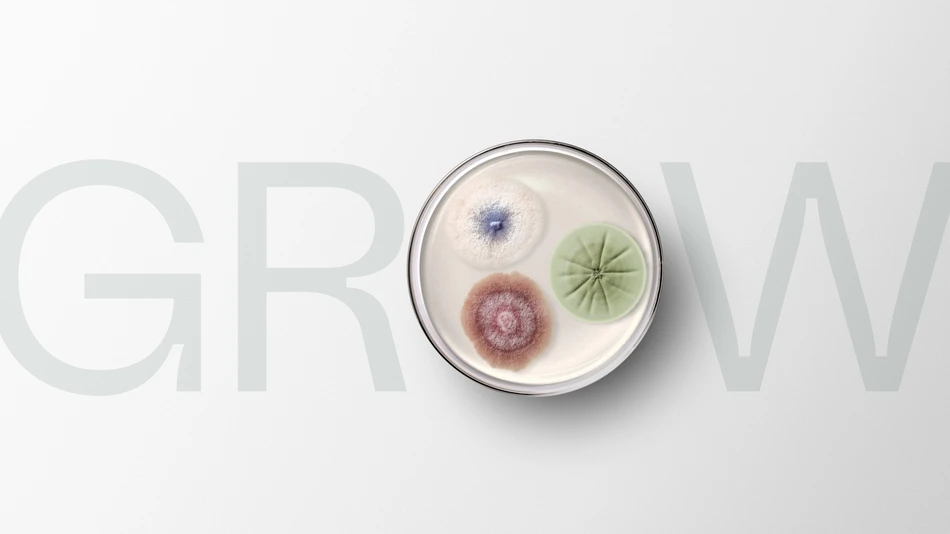 'Grow' strategy