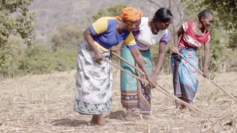 How beer and enzymes are changing the future for farmers in Africa
