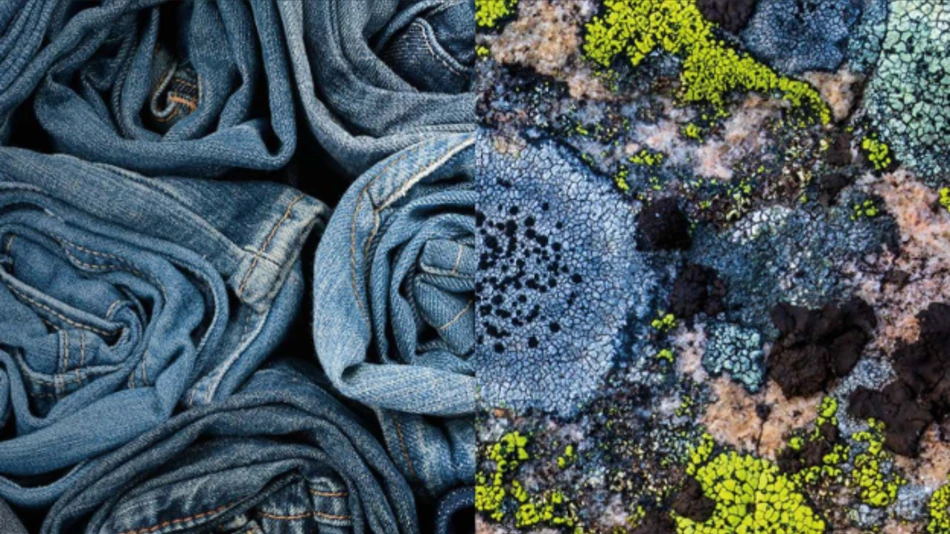 Rolled up denim and coloured patterns