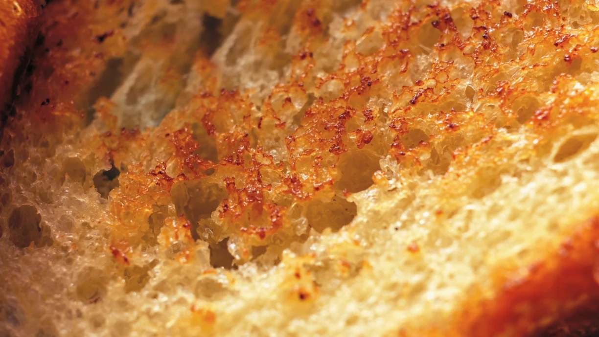 Closeup toast slice 