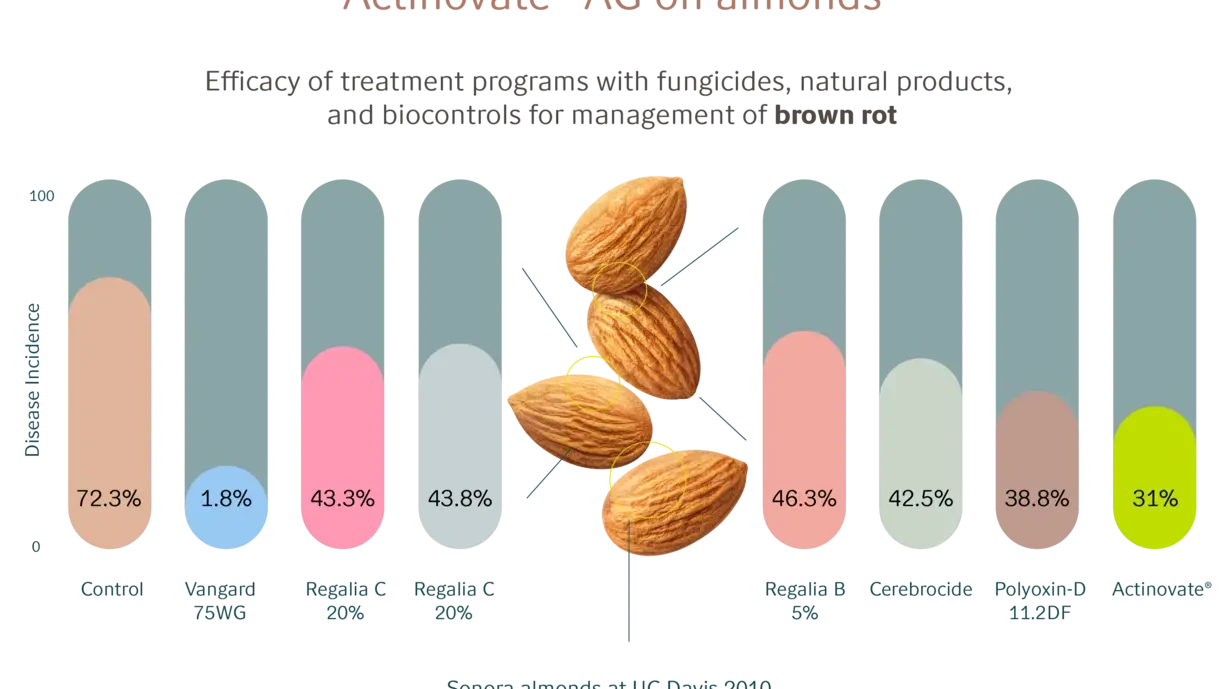Actinovate_graphics_almonds