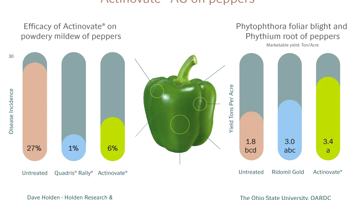 Actinovate on peppers  
