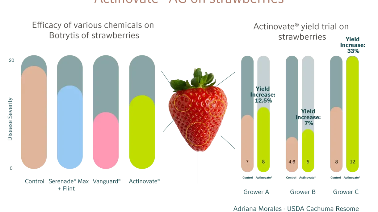 Actinovate on strawberries  