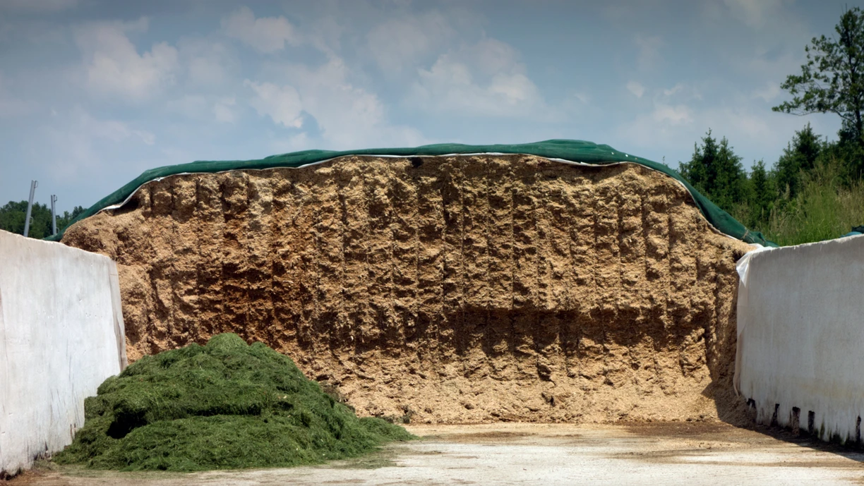 farmer_silage