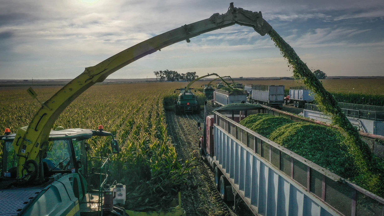 farmer_silage