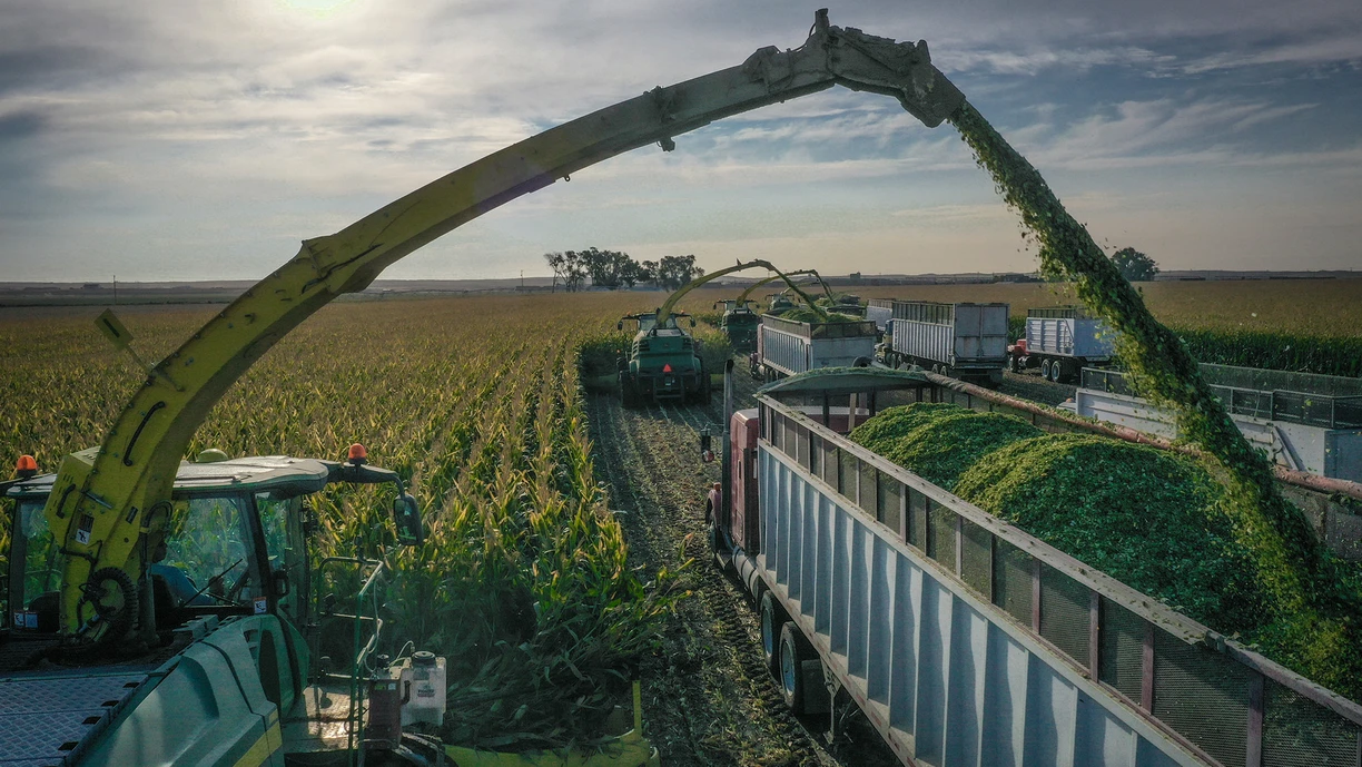 farmer_silage