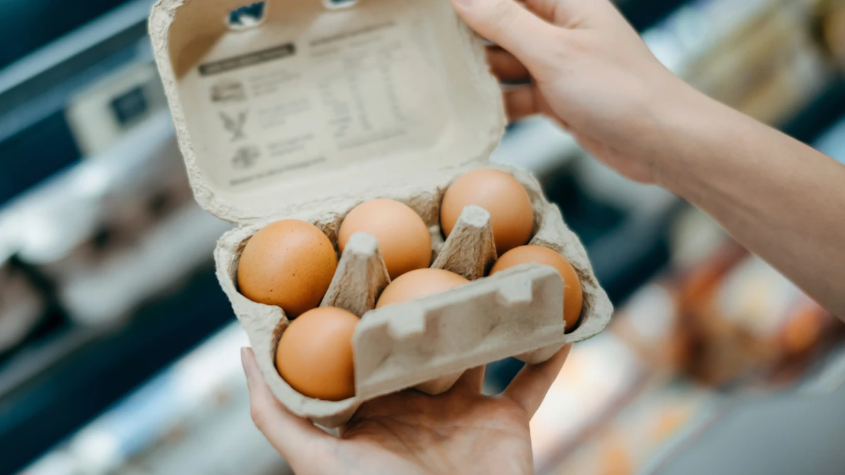 eggs