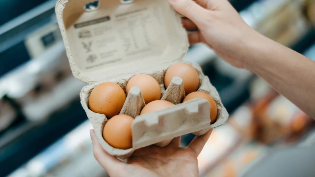 eggs
