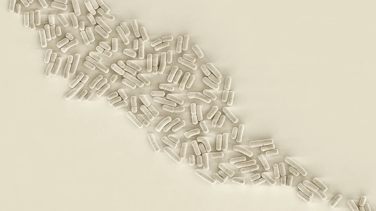 microbial strain