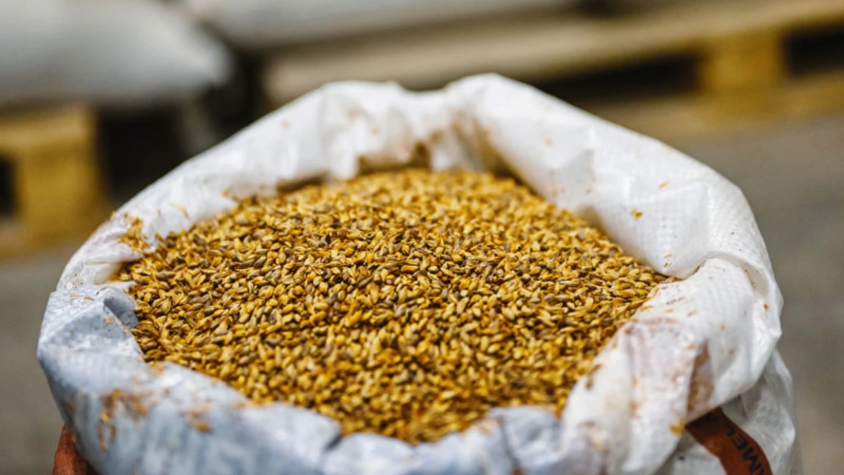 bag of barley