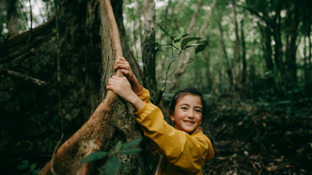 Child in tree