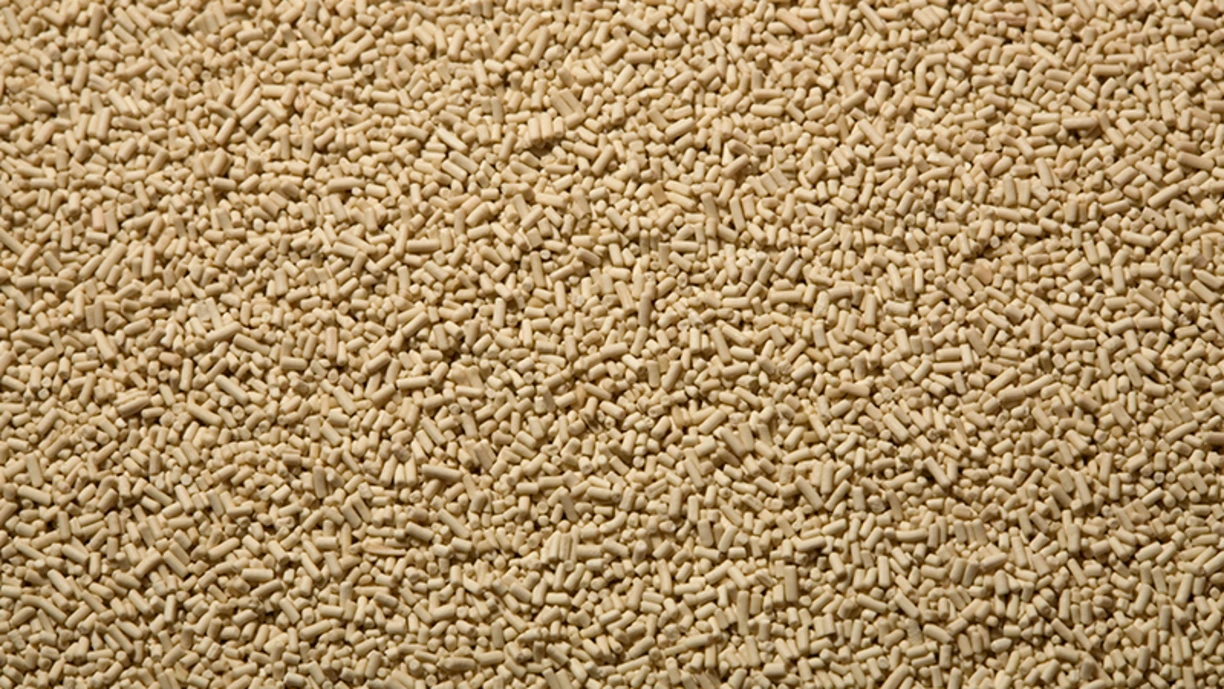 yeast