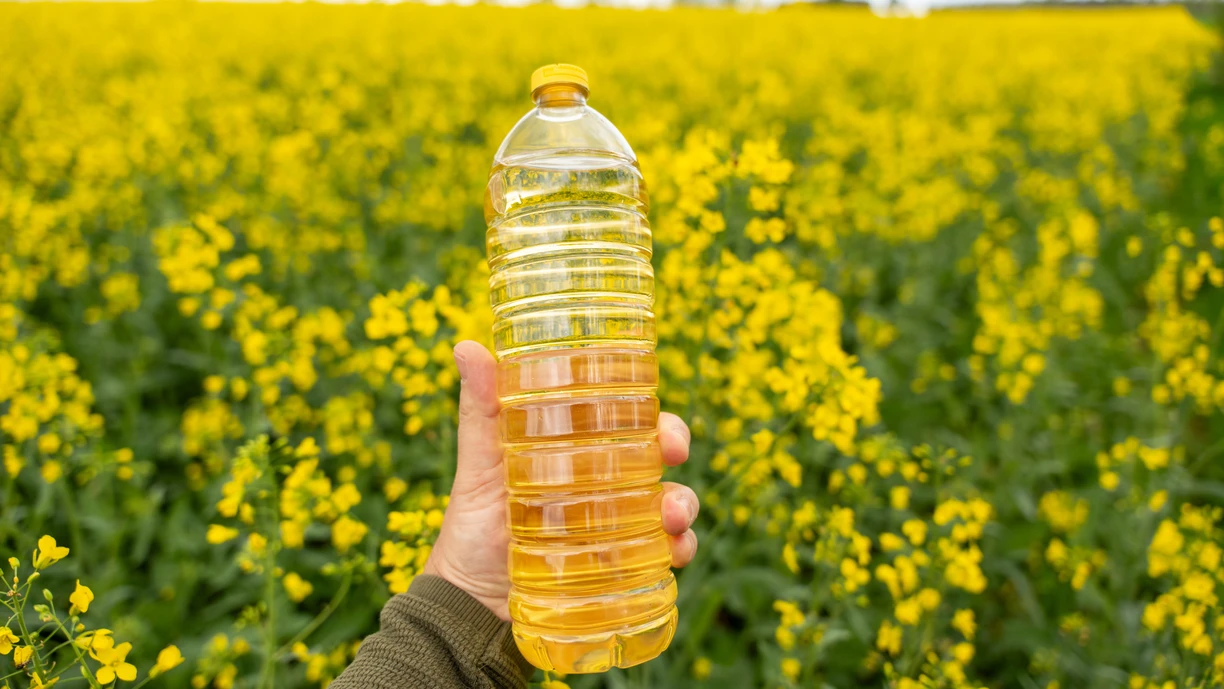 Rapeseed oil