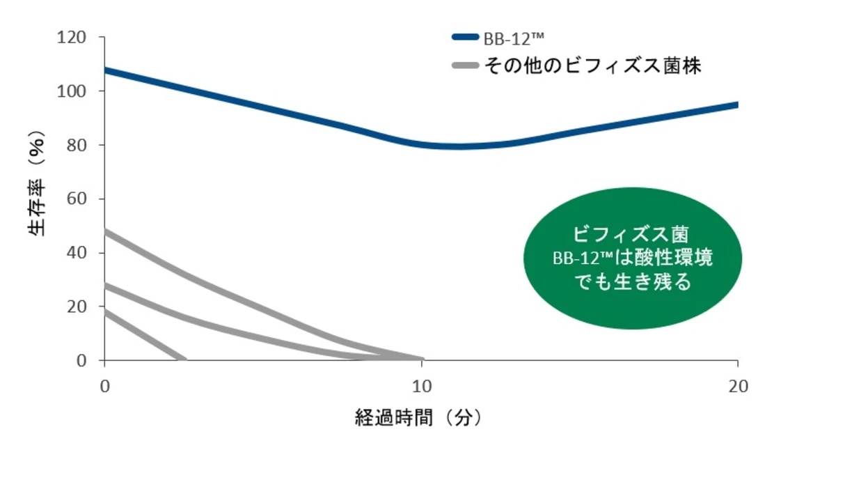 bb-12_graph2