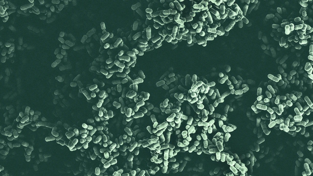 Green_Microbes