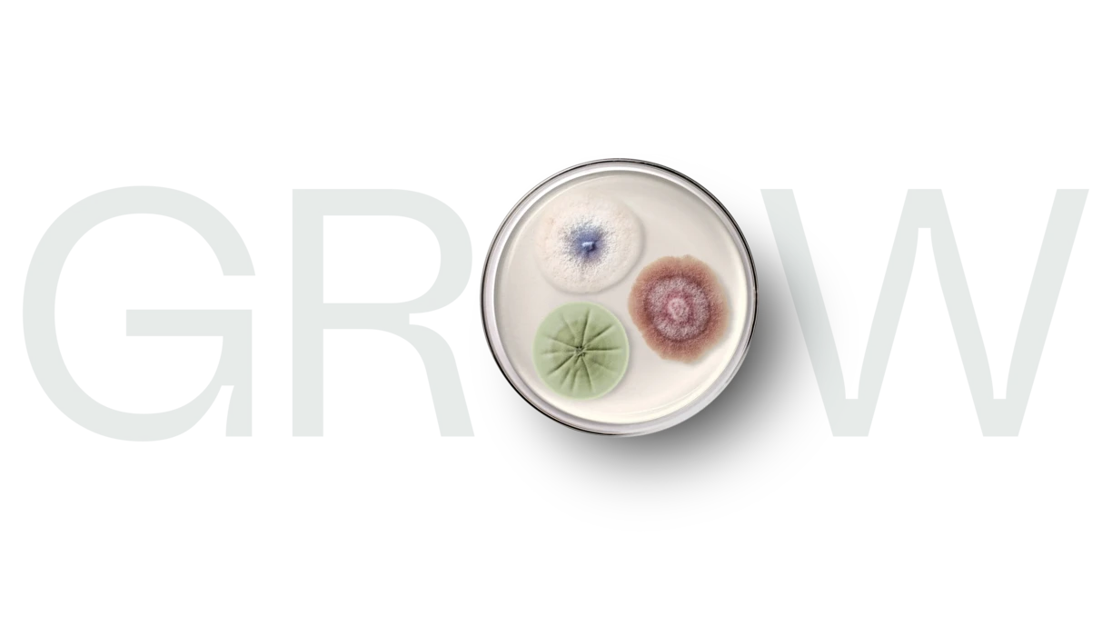 Grow_strategy_visual_