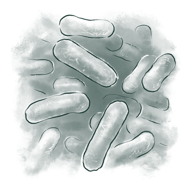 Microbes green