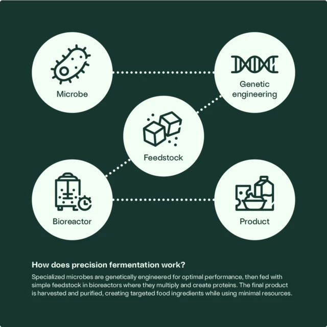 Fermentation_explanation