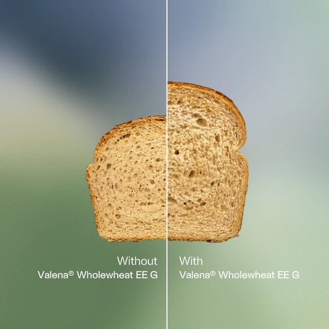 Comparison images of bread made with and without Valena® Wholewheat