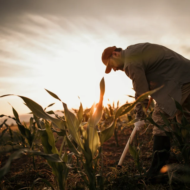 soil health