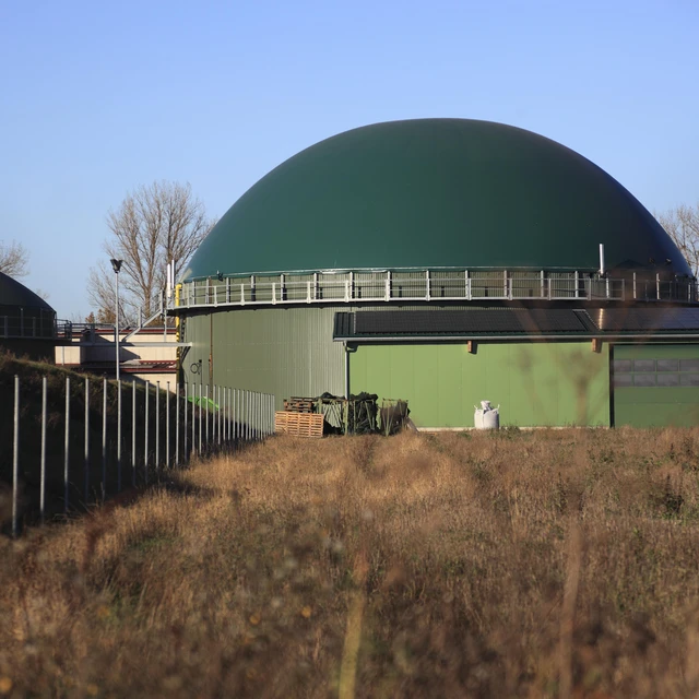 Farm