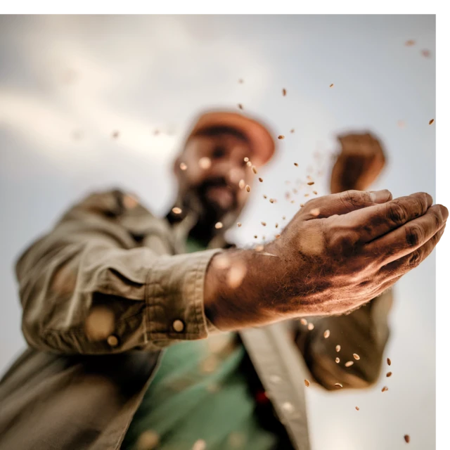 Farmer_checking_his_crop_quality