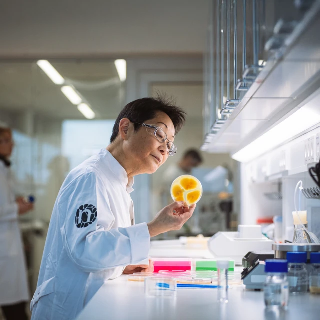 Fungi_in_lab_Lyngby_DK