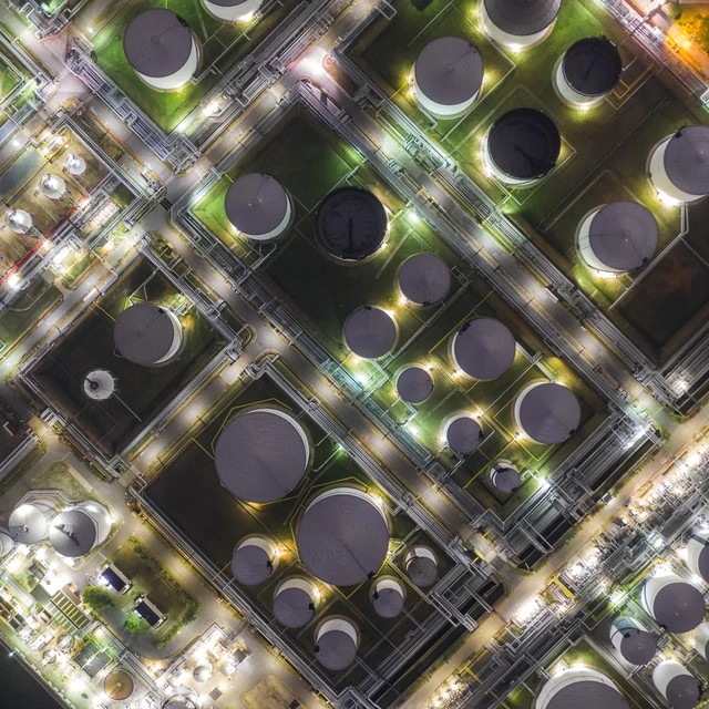 Bird view of plant