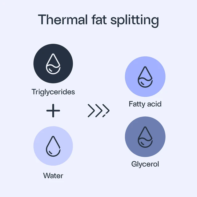 Pre-splitting for fatty acid producers