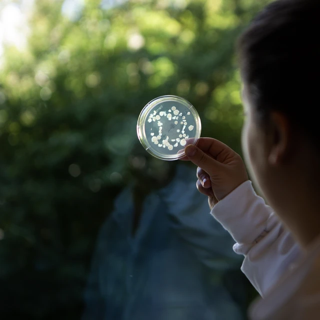 Kid holding a petri dish (closeup on the hand) 