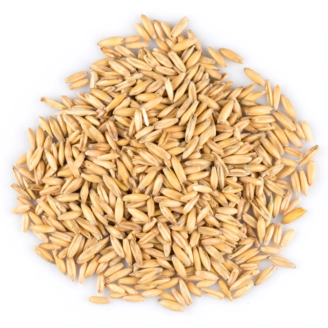 pile of organic oat grains isolated on white background 