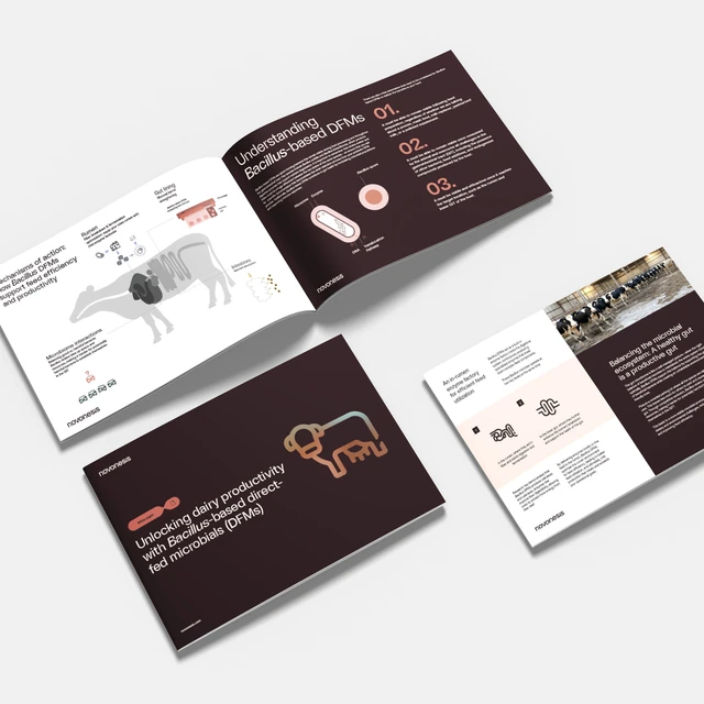 whitepaper layout of dairy cattle biosolutions