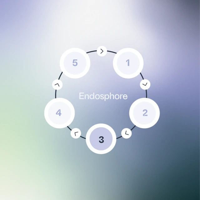 spores