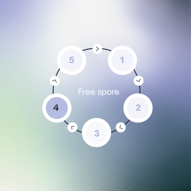 spores