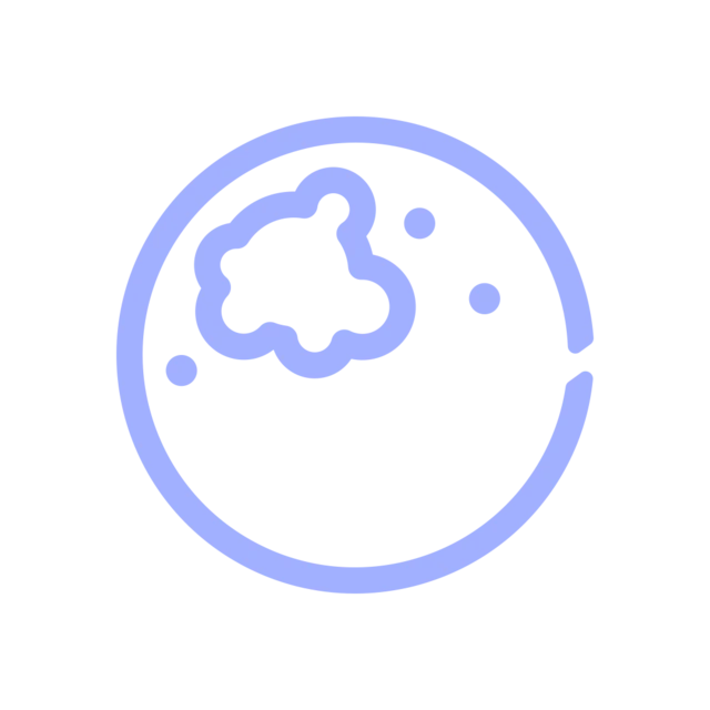 mold