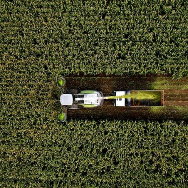 Silage