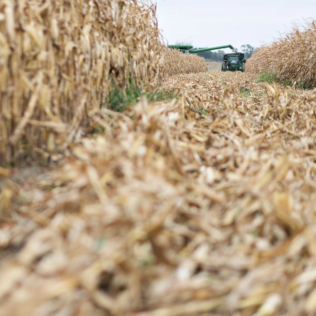 Bioenergy