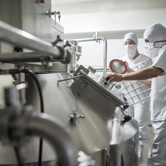 Workers operating stainless‑steel dairy processing equipment in a modern facility, representing efficient and sustainable dairy production. 