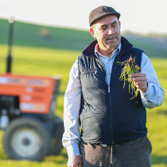 man-field-tractor-gettyimages-1491451662