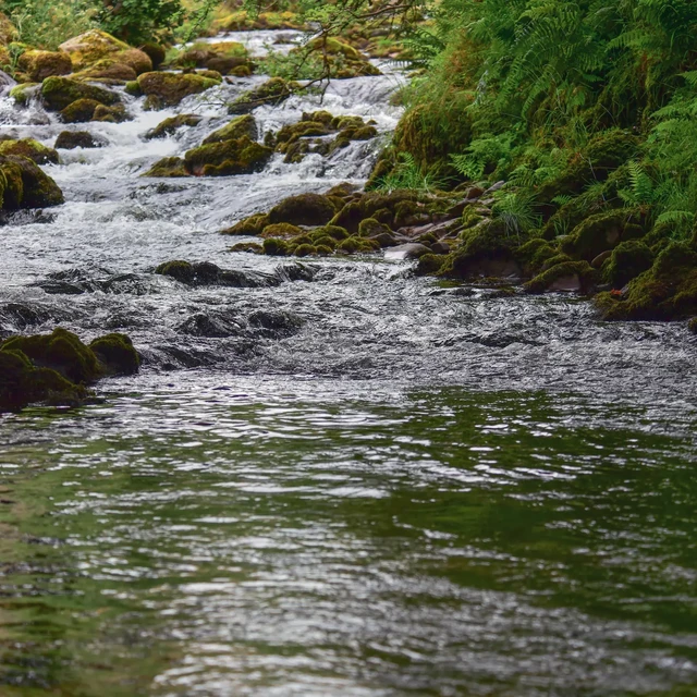 river