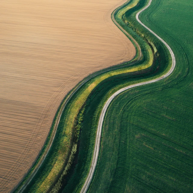 Aerial-View-On-Spring-Fields