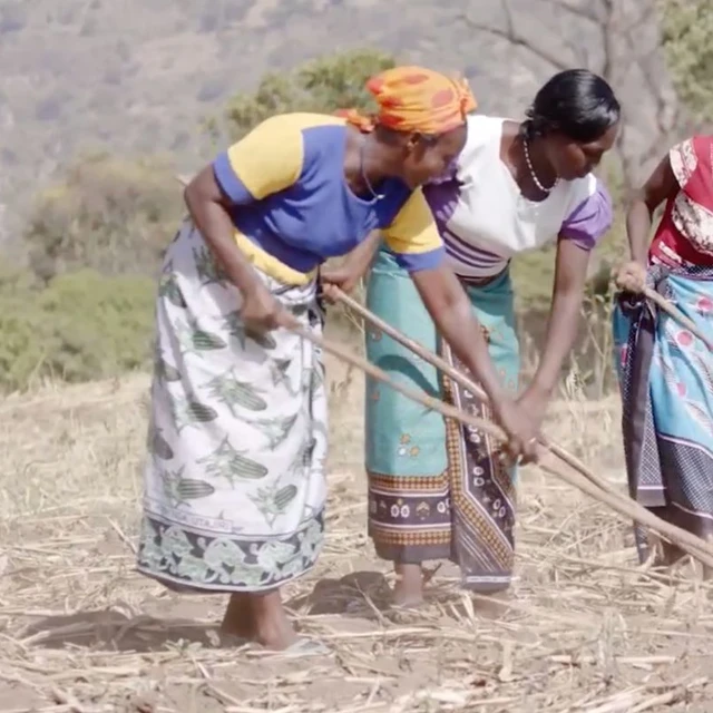 How beer and enzymes are changing the future for farmers in Africa