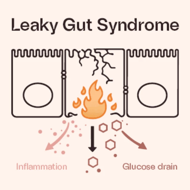 Leaky gut synfrome