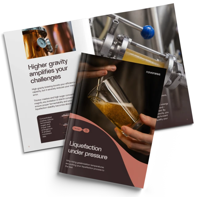 Liquefaction expert guide mockup