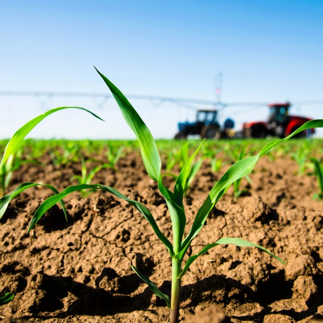 GettyImages-1258095992-soil-plant